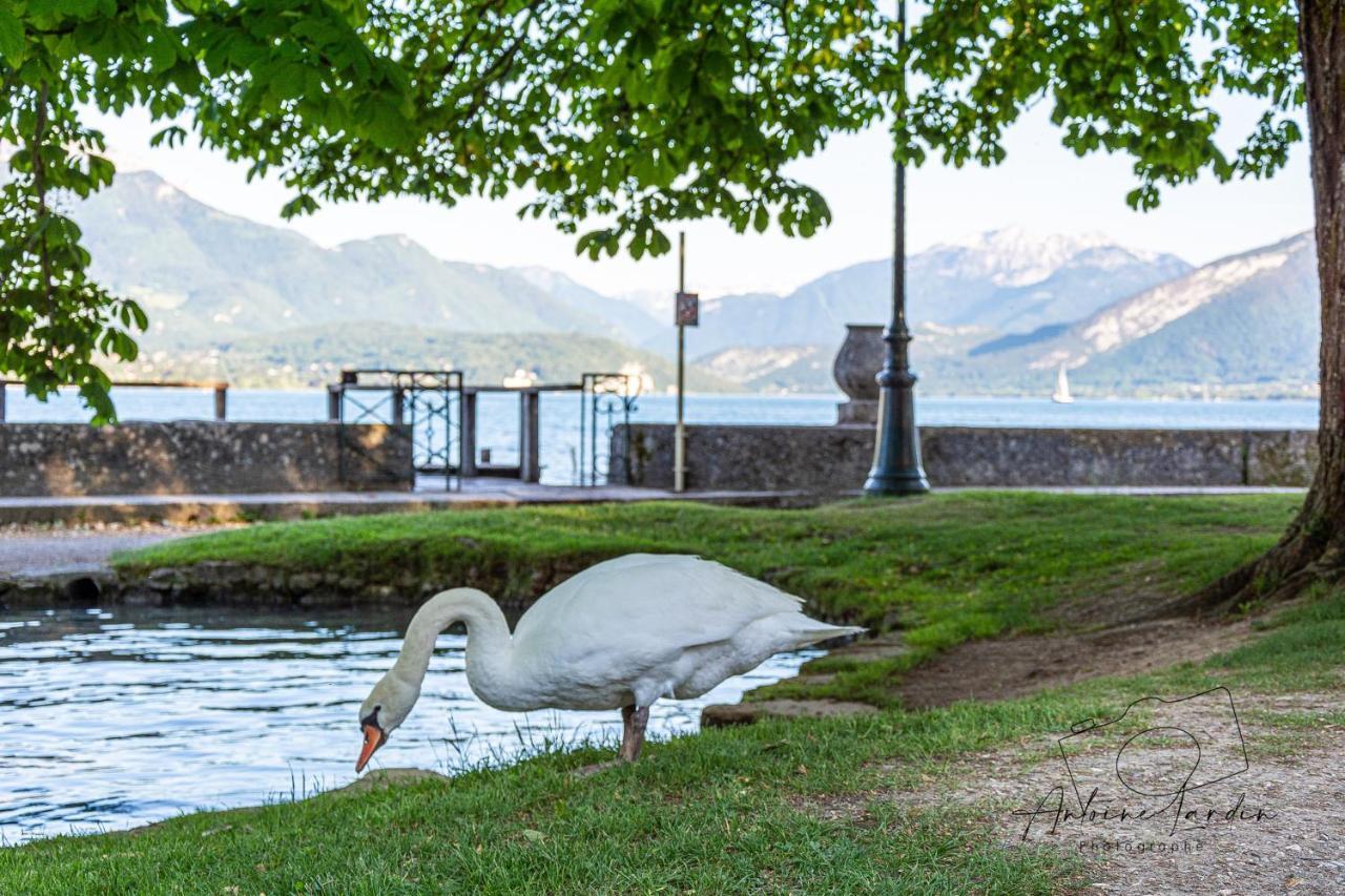 L'Amedee - Appt A 500M Du Lac Annecy Exterior photo